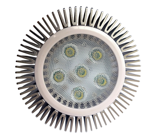 CREE Chip 10W PAR30 LED spotlight